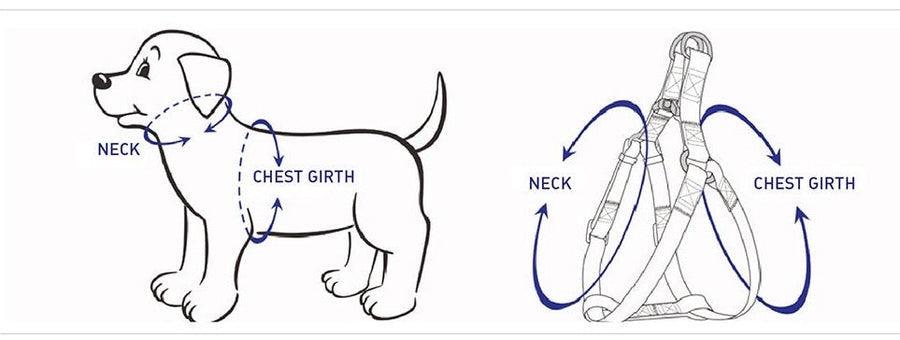 Rainbow Step-In Dog Walking Set -1
