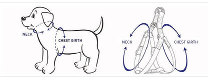 Rainbow Step-In Dog Walking Set -1