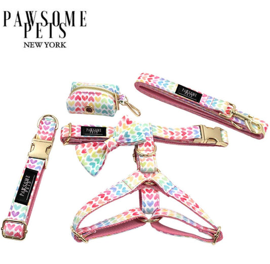 Rainbow Step-In Dog Walking Set -0