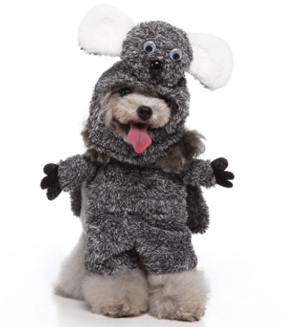 Funny Pet Costume Set Adorable Dress-Up Outfit for Dogs-3