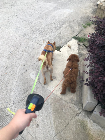 Dual Untangle Dog Leash