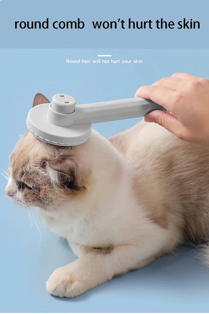 PET BRUSH