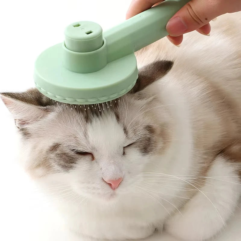 PET BRUSH