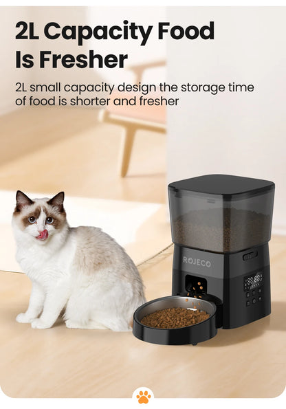 Automatic Pet Feeder Button Version Auto