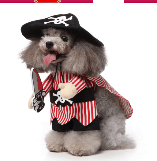 Funny Pet Costume Set Adorable Dress-Up Outfit for Dogs-2