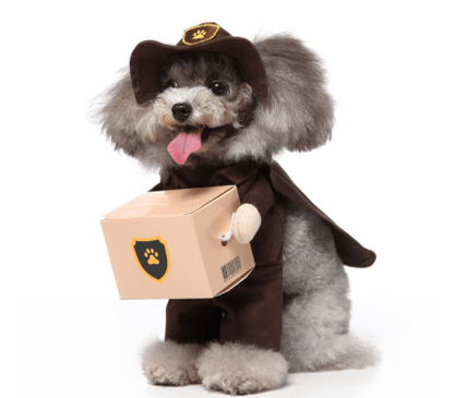 Funny Pet Costume Set Adorable Dress-Up Outfit for Dogs-9