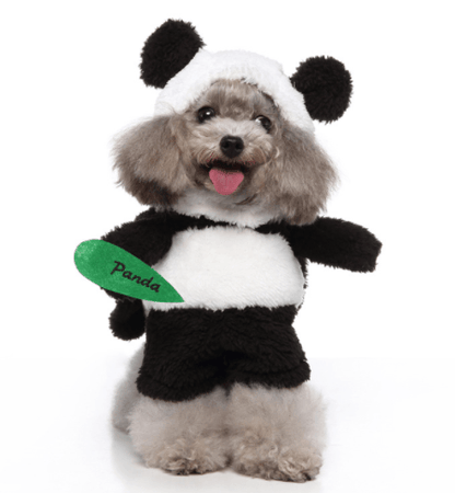 Funny Pet Costume Set Adorable Dress-Up Outfit for Dogs-0