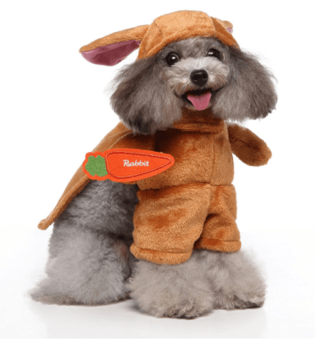 Funny Pet Costume Set Adorable Dress-Up Outfit for Dogs-5